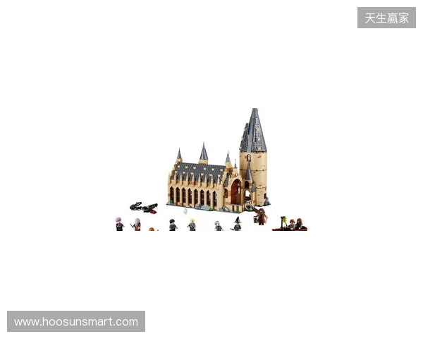 安东内拉：爱拼霍格沃茨城堡，家里有类似博物馆空间放乐高